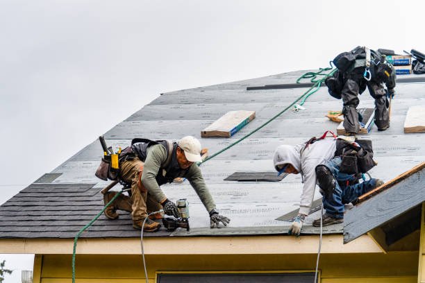 Professional Gutter Installation technician working in Killawog, NY